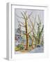 English Plane Trees,NYC, 2015-Anthony Butera-Framed Premium Giclee Print