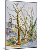 English Plane Trees,NYC, 2015-Anthony Butera-Mounted Premium Giclee Print