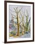 English Plane Trees,NYC, 2015-Anthony Butera-Framed Giclee Print