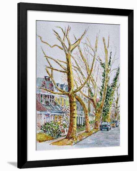 English Plane Trees,NYC, 2015-Anthony Butera-Framed Giclee Print