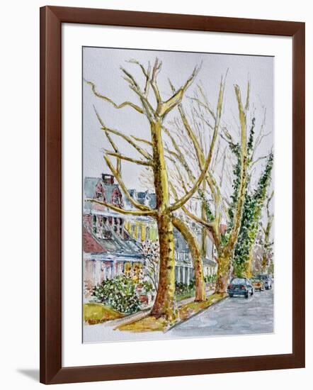 English Plane Trees,NYC, 2015-Anthony Butera-Framed Giclee Print