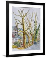 English Plane Trees,NYC, 2015-Anthony Butera-Framed Giclee Print