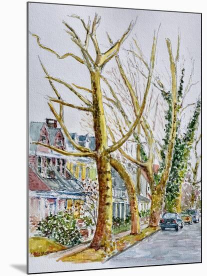 English Plane Trees,NYC, 2015-Anthony Butera-Mounted Giclee Print