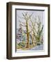 English Plane Trees,NYC, 2015-Anthony Butera-Framed Giclee Print