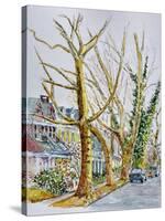 English Plane Trees,NYC, 2015-Anthony Butera-Stretched Canvas