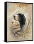 English Pointer-Ruane Manning-Framed Stretched Canvas