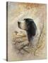 English Pointer-Ruane Manning-Stretched Canvas