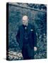 English Prime Minister Winston Churchill Standing Alone in a Garden During WWII-null-Stretched Canvas