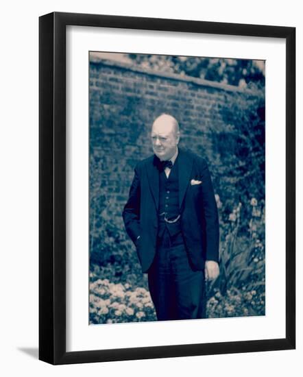 English Prime Minister Winston Churchill Standing Alone in a Garden During WWII-null-Framed Photographic Print