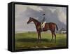 English Racehorses-J. Ferneley-Framed Stretched Canvas