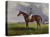 English Racehorses-J. Ferneley-Stretched Canvas