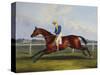 English Racehorses-C. Duncan-Stretched Canvas