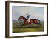 English Racehorses-C. Duncan-Framed Giclee Print