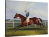 English Racehorses-C. Duncan-Stretched Canvas