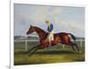 English Racehorses-C. Duncan-Framed Premium Giclee Print