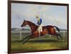 English Racehorses-C. Duncan-Framed Premium Giclee Print