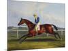 English Racehorses-C. Duncan-Mounted Premium Giclee Print