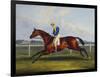 English Racehorses-C. Duncan-Framed Premium Giclee Print