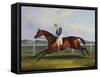 English Racehorses-C. Duncan-Framed Stretched Canvas