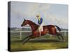 English Racehorses-C. Duncan-Stretched Canvas