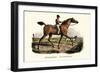 English Racer Horse, 1824-Karl Joseph Brodtmann-Framed Giclee Print