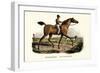 English Racer Horse, 1824-Karl Joseph Brodtmann-Framed Giclee Print