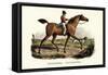 English Racer Horse, 1824-Karl Joseph Brodtmann-Framed Stretched Canvas