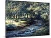 English River-Richard Willis-Stretched Canvas