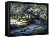 English River-Richard Willis-Framed Stretched Canvas