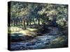 English River-Richard Willis-Stretched Canvas