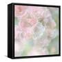 English Rose I-Doug Chinnery-Framed Stretched Canvas