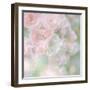 English Rose I-Doug Chinnery-Framed Photographic Print