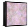 English Rose II-Doug Chinnery-Framed Stretched Canvas