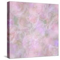 English Rose II-Doug Chinnery-Stretched Canvas