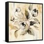 English Rose II-Silvia Vassileva-Framed Stretched Canvas