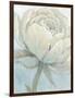 English Rose II-Tim O'toole-Framed Art Print