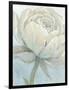 English Rose II-Tim O'toole-Framed Art Print