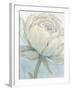 English Rose II-Tim O'toole-Framed Art Print