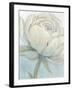 English Rose II-Tim O'toole-Framed Art Print