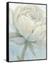 English Rose II-Tim O'toole-Framed Stretched Canvas