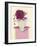 English Rose-Marilyn Robertson-Framed Giclee Print