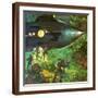 Brown Frame