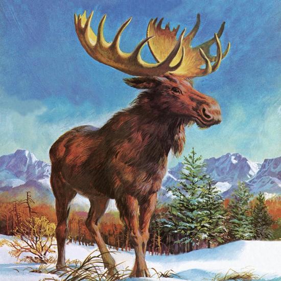 Premium Giclee Print, , large