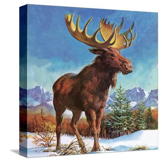 Stretched Canvas Print, , large