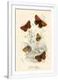 Gramercy White