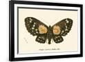 Gramercy Black