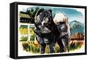 Canvas Black