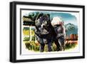 Black Frame