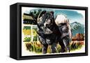 Canvas Black