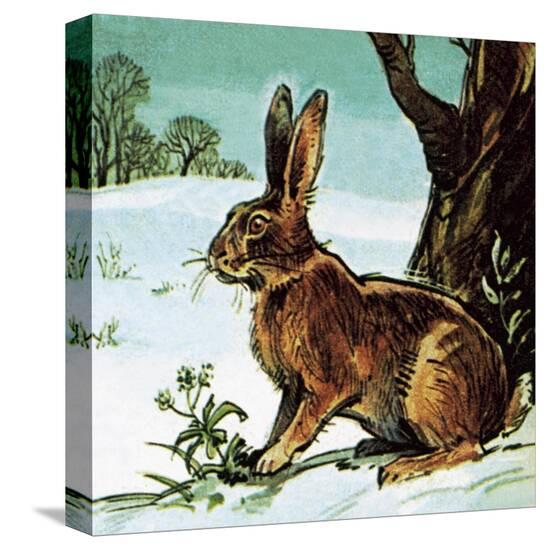 Stretched Canvas Print, , large